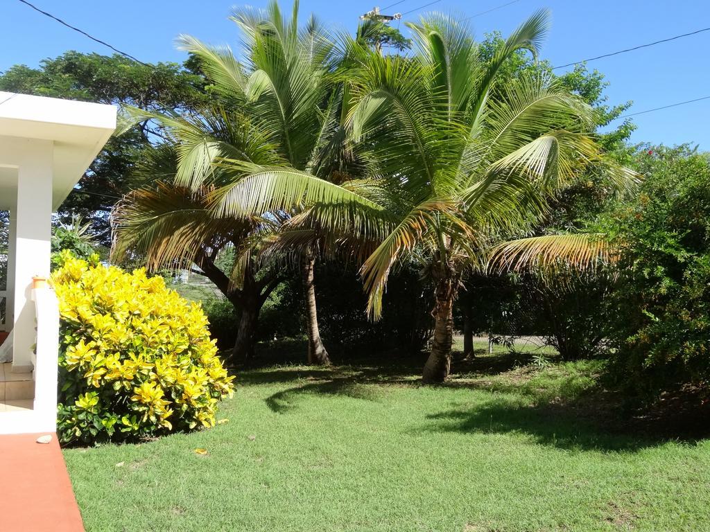 Villa Tranquility By The Sea Vieques Exterior foto