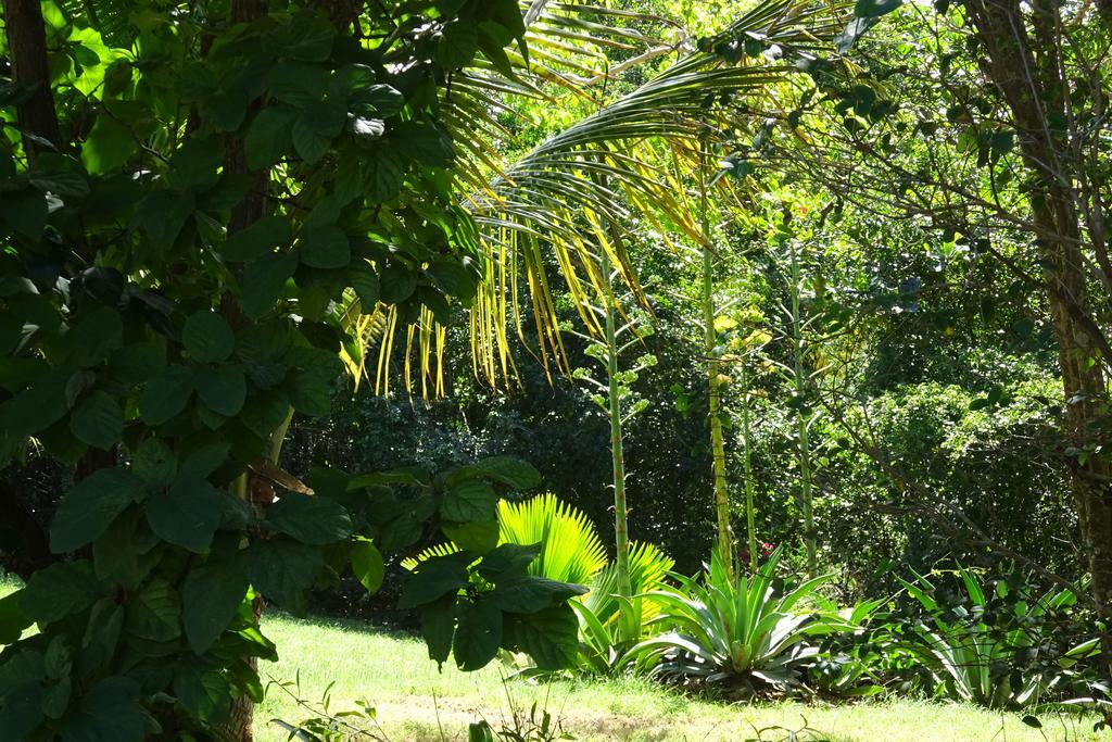 Villa Tranquility By The Sea Vieques Habitación foto