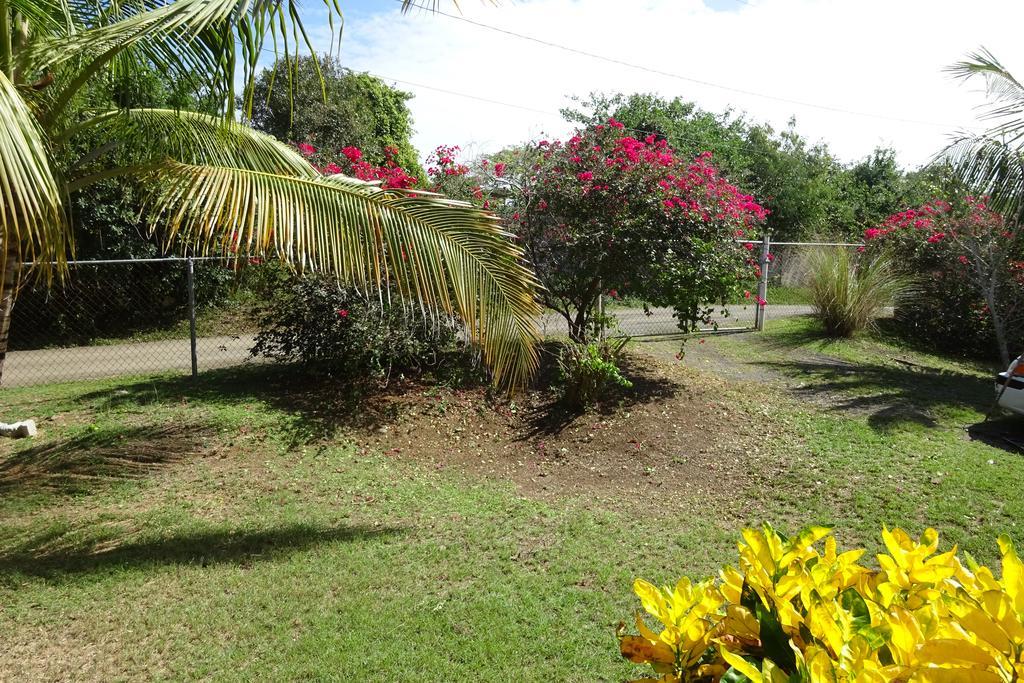 Villa Tranquility By The Sea Vieques Habitación foto