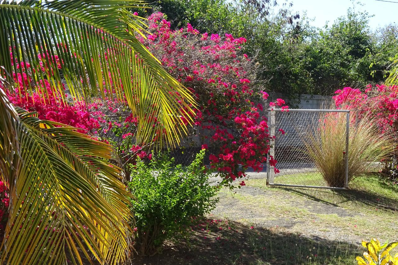 Villa Tranquility By The Sea Vieques Exterior foto